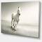 Designart - Beautiful White Horse Running - Animal Canvas Art Print